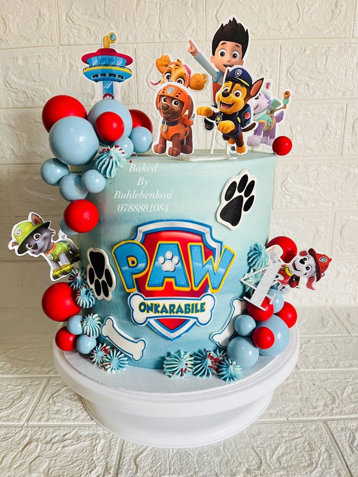Paw Patrol Team Cake by Baked by Buhlebenkosi