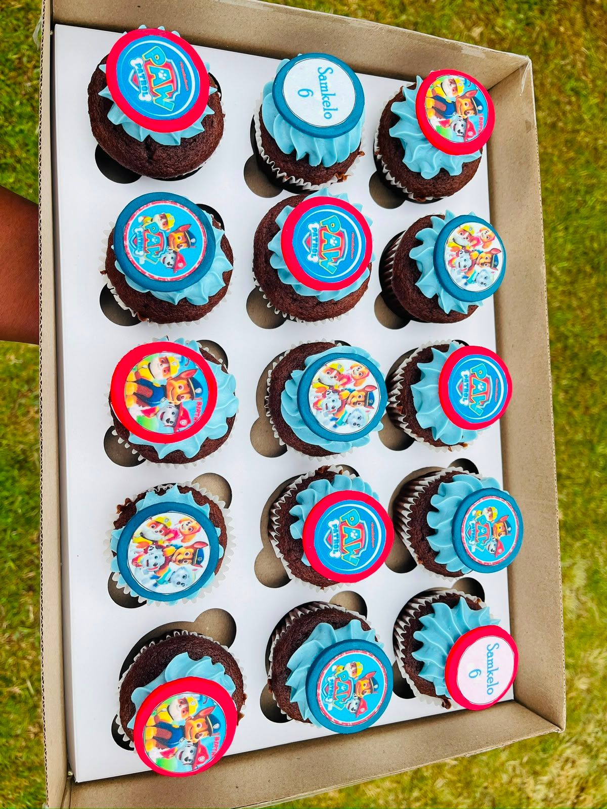 Paw Patrol Chocolate Cupcakes by Baked by Buhlebenkosi